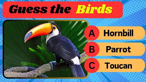 Guess The Bird Name Challenge Guess The Birds Quiz Quiz Library