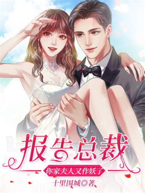 报告总裁：你家夫人又作妖了（十里围城创作的网络小说）百度百科