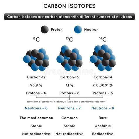 Diagramma Infografico Isotopi Atomici Di Carbonio Illustrazione