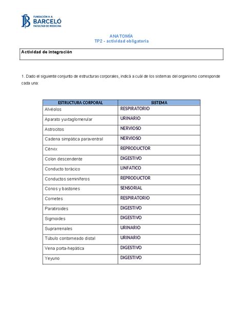 Actividad Obligatoria Anatom A Tp Actividad Obligatoria
