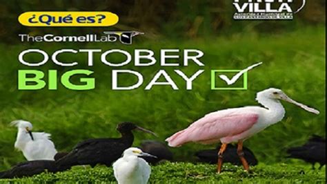 ¡se Aproxima El Global Big Day 🐦🐦 Noticias Autoridad Municipal De