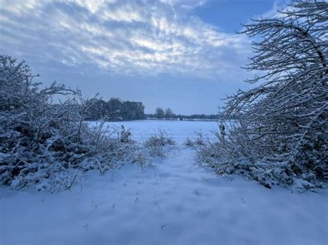 Schnee In Bonn Und Der Region Wie Hoch Liegt Der Schnee