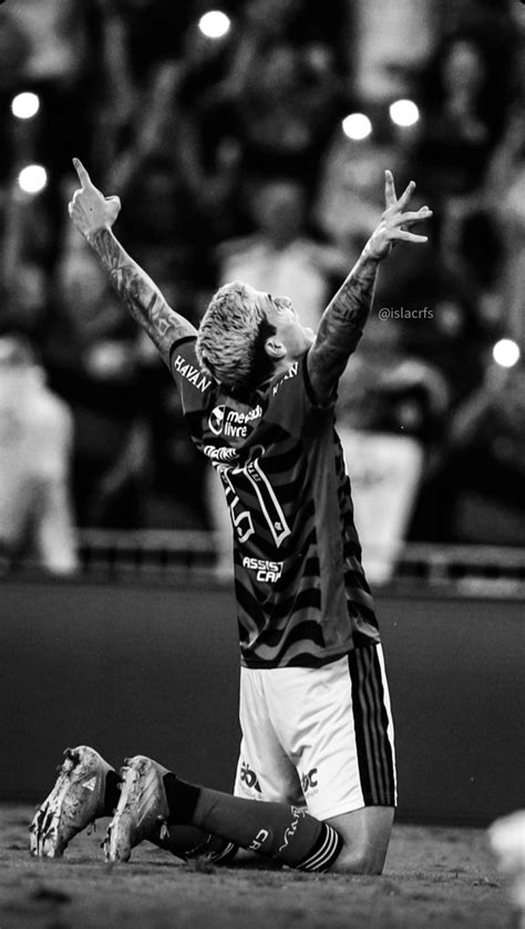 Wallpaper Flamengo Framengo Fundo Flamengo Fotos De Flamengo