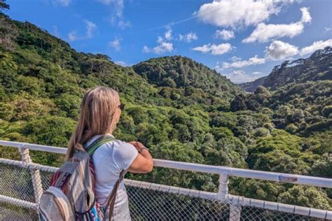 15 Things to KNOW Before Visiting Zealandia Ecosanctuary, Wellington