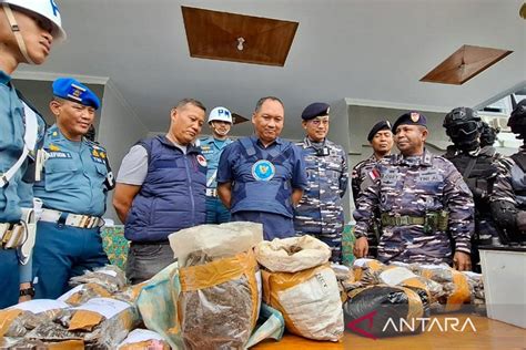 Lantamal X Jayapura Gagalkan Penyelundupan Kg Ganja Asal Png