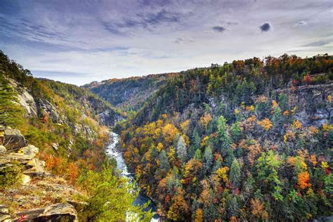 10 Best Things To Do In Tallulah Falls Georgia