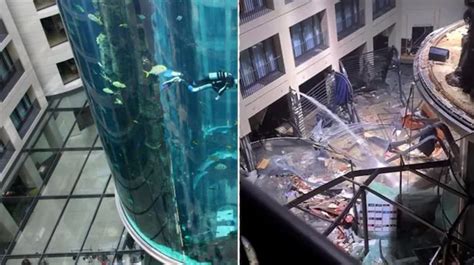 Large Berlin Aquarium Explodes Causing A Flood Of Destruction