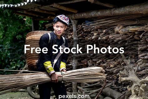 Bundle Of Sticks Photos, Download The BEST Free Bundle Of Sticks Stock ...