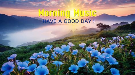 Beautiful Morning Music Happy Positive Energy And Stress Relief