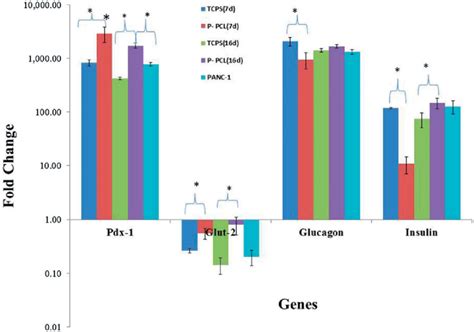 Gene Expression Profile Of Cells Differentiated On P Pcl And Tcps On