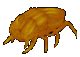 Uo Fire Beetle X Legendary Buy Ultima Online Items Uo Stock