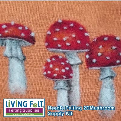 Needle Felting Picture Kit Needle Felt Mushroom 2D LivingFelt