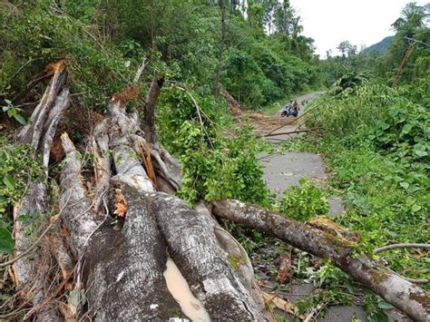 Hujan Deras Disertai Angin Kencang Melanda Bursel Berita Terkini Maluku