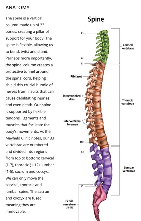 Fix Your Pilot Back Pain Aviation Ideas And Discussion