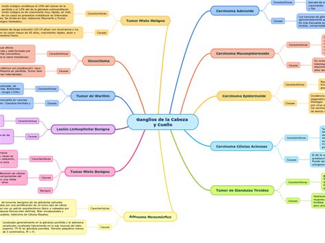 Ganglios De La Cabeza Y Cuello Mind Map