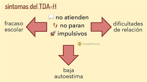 ¿funciona El Tratamiento De La Hiperactividad Neuronas En Crecimiento