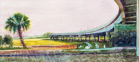 Palmetto Flyover Painting By David Randall Pixels