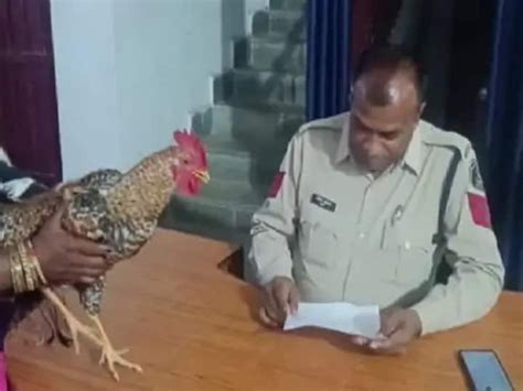 मुर्गे की हत्या की कोशिश घायल मुर्गा लेकर थाना पहुंची महिलापुलिस से