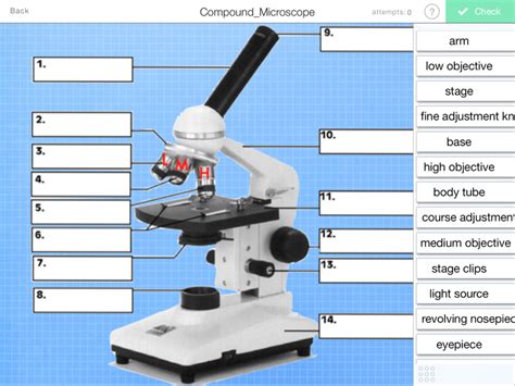 Parts of a Compound Microscope — Learning in Hand with Tony Vincent