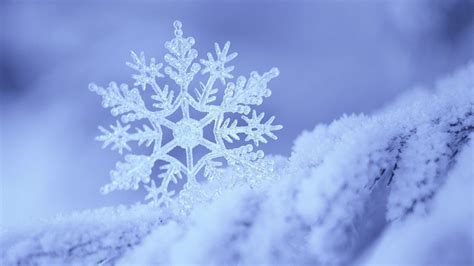 Snowflake Desktop Background 68 Images