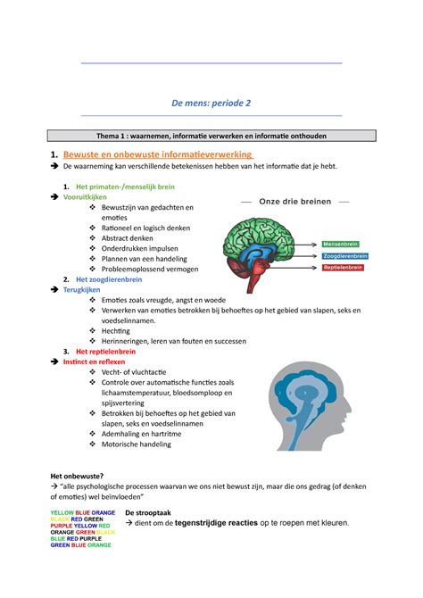 De Mens Samenvatting De Mens Periode 2 Thema 1 Waarnemen
