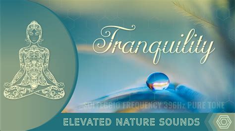 396 Hz Solfeggio Frequency For Tranquility Release Fear Guilt Stress