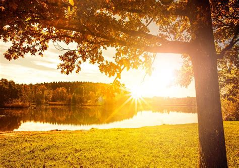 Bis Ende Oktober Warm Bis Sehr Warm Morgen Bis 27C In Deutschland