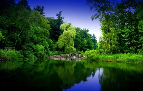 Forest River Wallpapers K Hd Forest River Backgrounds On Wallpaperbat