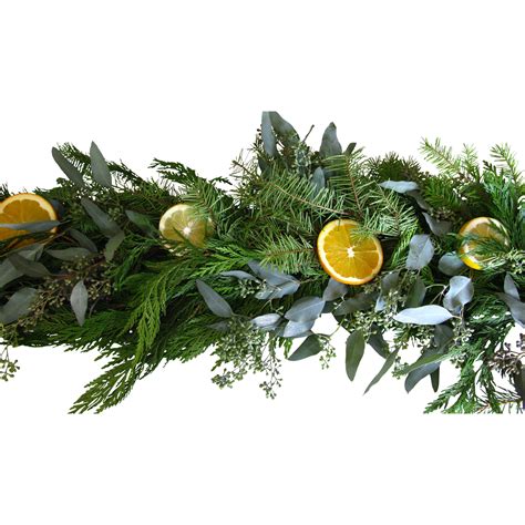 From the Garden Fruit Garland & Reviews | Wayfair