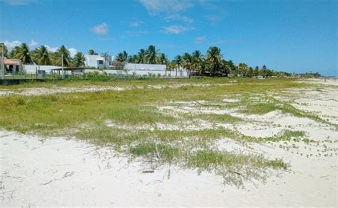 Praias potencial turístico já sofrem avanço do mar em Alagoas