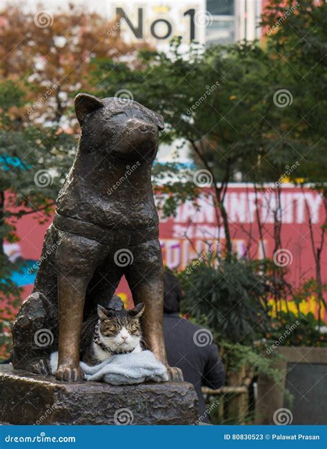 Hachiko Statue In Shinjuku Editorial Stock Photo Image Of Japanese