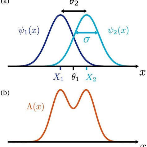 Wigner Functions Of A Squeezed Vacuum A Cat State And The Squeezed