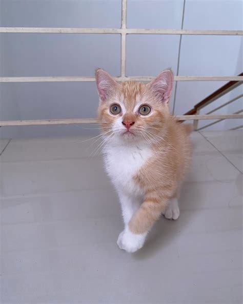 wilda atwildscanses instagram