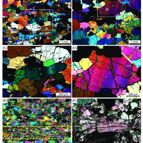 Optical Photomicrographs Of Samples In Transmitted Cross Polarized