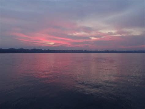 Langkawi Dolphin Cruise Aktuell Für 2022 Lohnt Es Sich Mit Fotos