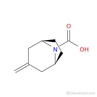 Methylidene Azabicyclo Octane Carboxylic Acid Structure