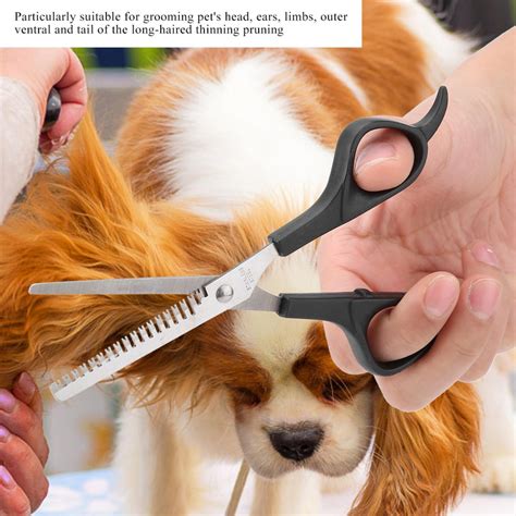 Álbumes 101 Foto Tijeras Para Corte De Pelo De Perro Lleno