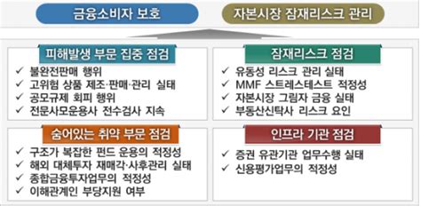 금감원 금융투자 피해발생 부문·잠재리스크 집중 점검 서울파이낸스