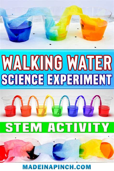 Easy Rainbow Walking Water Experiment For Kids Recipe Water