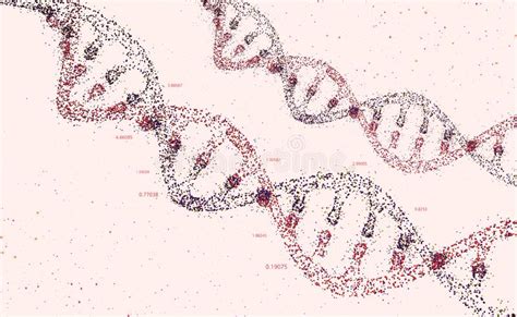 DNA Studio Sulla Struttura Del Gene Della Cellula Struttura Della