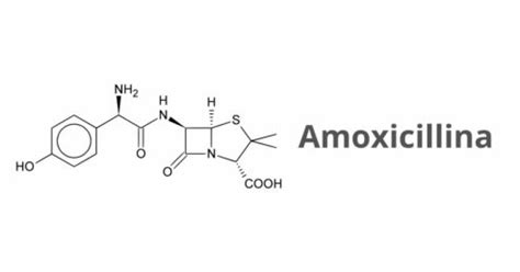 Quali Sono Gli Effetti Collaterali Della Amoxicillina Torrinomedica