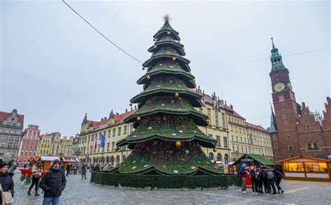 Choinka na wrocławskim Rynku