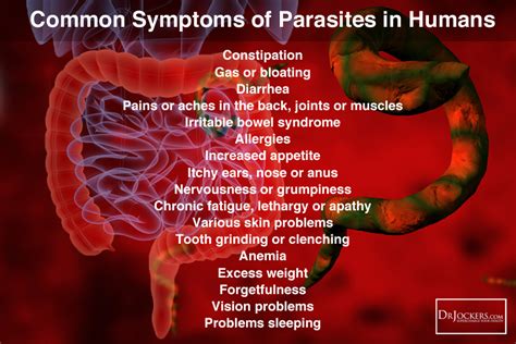 What Type of Parasites do You Have? - DrJockers.com