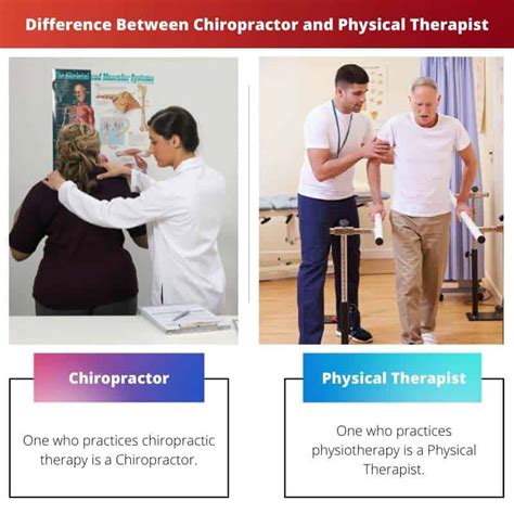 Chiropractor Vs Physical Therapist Difference And Comparison