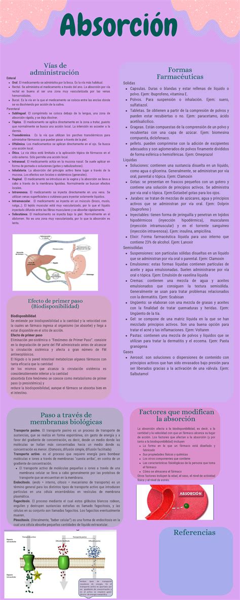 Infografia Absorci N V As De Administraci N Oral El