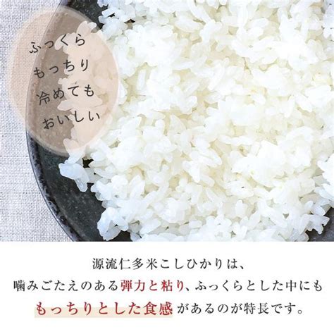 令和5年産 源流 仁多米コシヒカリ 5kg 島根産 産地直送 白米 玄米 お米 送料無料 奥出雲 特産品 こしひかり