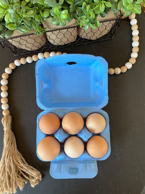 Set Of 10 Blue Egg Cartons Holds 6 Chicken Eggs Etsy Egg Carton