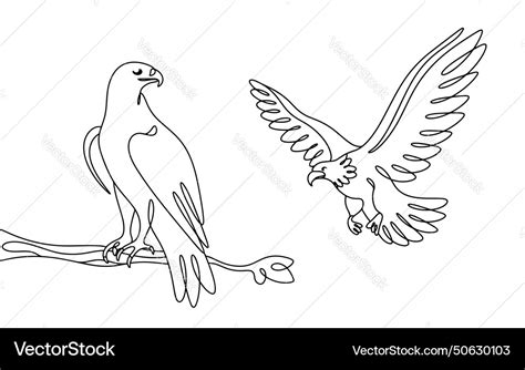 Two eagles flight predatory bird Royalty Free Vector Image