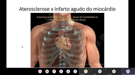 Ciências Morfofuncionais Dos Sistemas Nervoso E Cardiorrespiratório 01