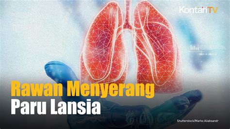 5 Penyakit Paru Paru Yang Rentan Menyerang Lansia